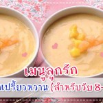 เมนูลูกรัก วัย 6-9 เดือน