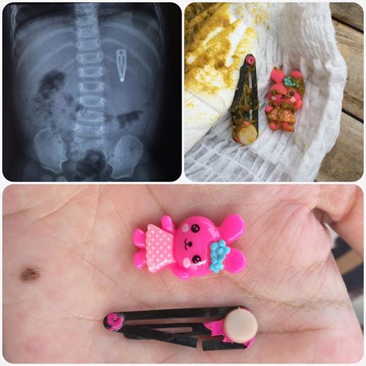 12923142_10154034250432463_451359635247570737_n