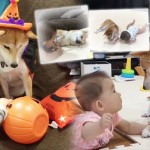 ผู้ช่วยคุณแม่