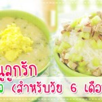 เมนูลูกรัก วัย 6-9 เดือน