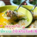 เมนูลูกรัก วัย 6-9 เดือน