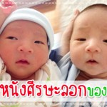 ผู้ช่วยคุณแม่