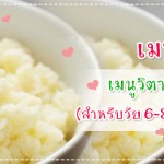 เมนูวิตามินข๊าวขาว (สำหรับวัย 6-8 เดือนขึ้นไป) เมนูลูกรัก วัย 6-9 เดือน