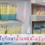 วิธีการเก็บรักษาน้ำนมแม่ในช่องแช่แข็ง ผู้ช่วยคุณแม่