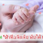 ผู้ช่วยคุณแม่