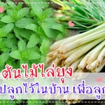 การป้องกันโรค