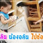 ลูกดารา