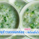 เมนูลูกรัก เมนูข้าวบดกลมกล่อม (สำหรับวัย 8เดือนขึ้นไป) เมนูลูกรัก