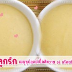 เมนูลูกรัก เมนูซุปแอปเปิ้ลสีหวาน (สำหรับวัย 6 เดือนขึ้นไป) เมนูลูกรัก