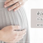 สัปดาห์ที่ 26 กับพัฒนาการทารกในครรภ์ของคุณแม่ ตั้งครรภ์ 40 สัปดาห์