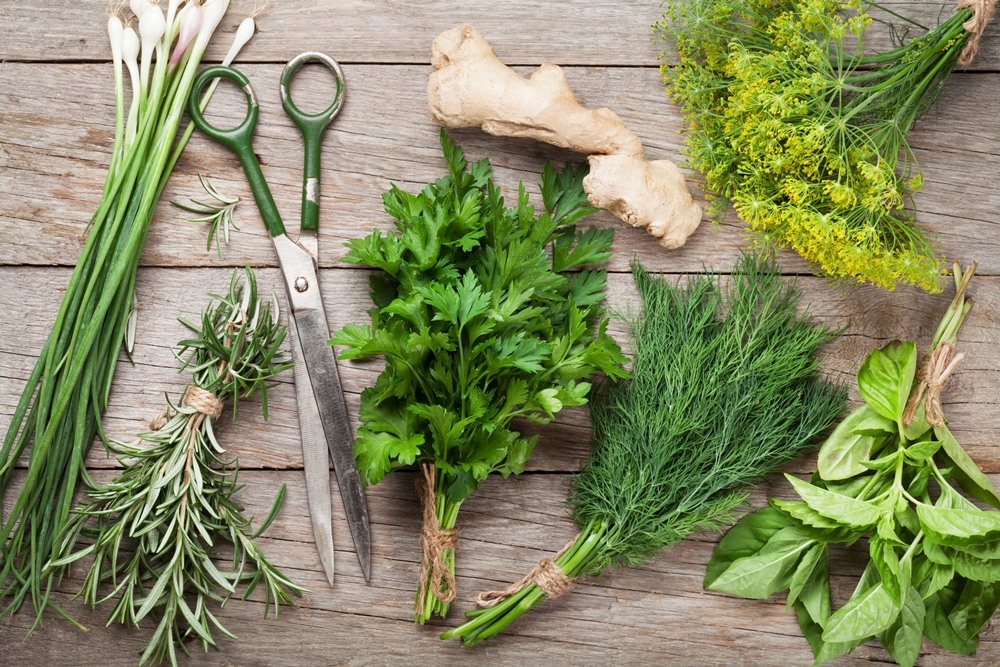 42663938 - fresh garden herbs on wooden table. top view