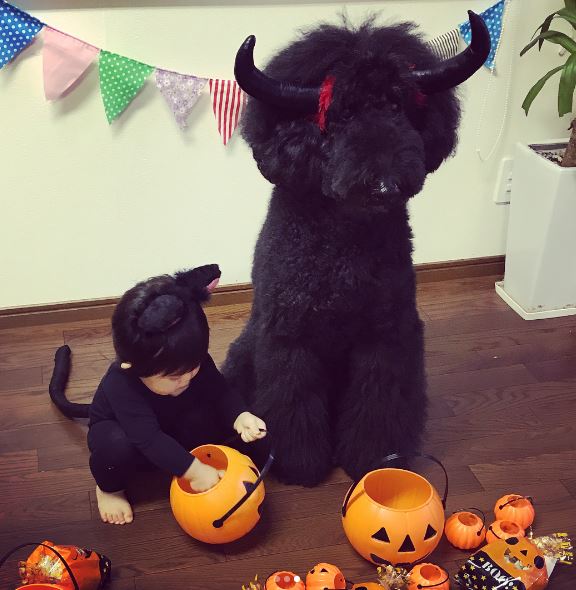 น่ารักน่าเอ็นดู