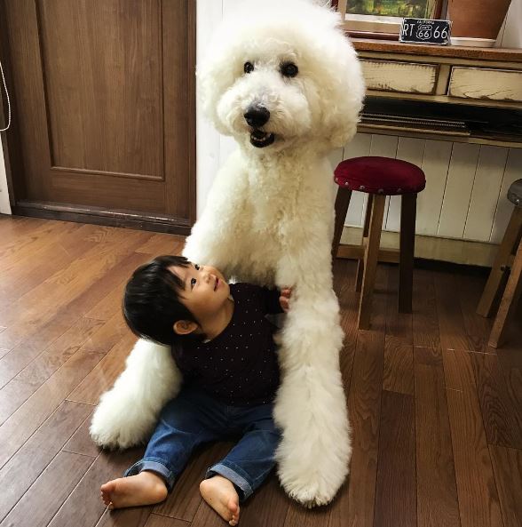 น่ารักน่าเอ็นดู