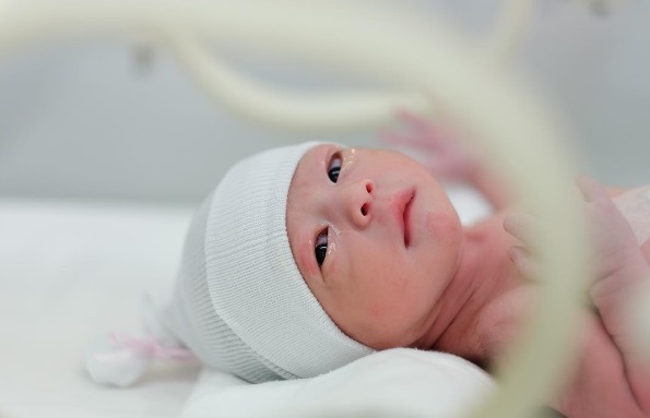 คลอดแล้ว