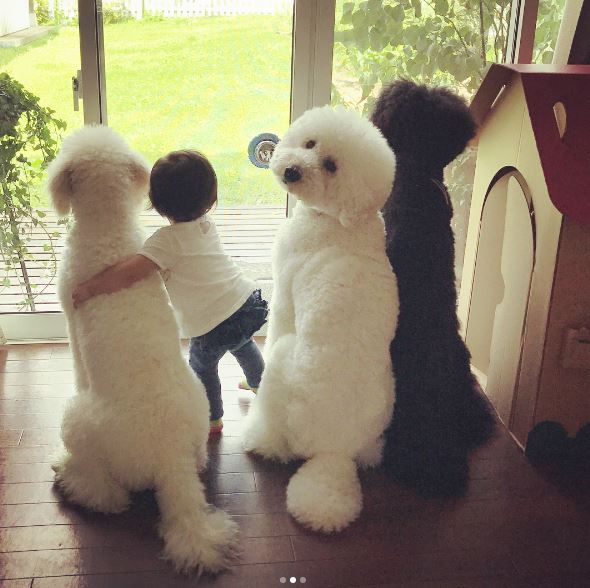 น่ารักน่าเอ็นดู