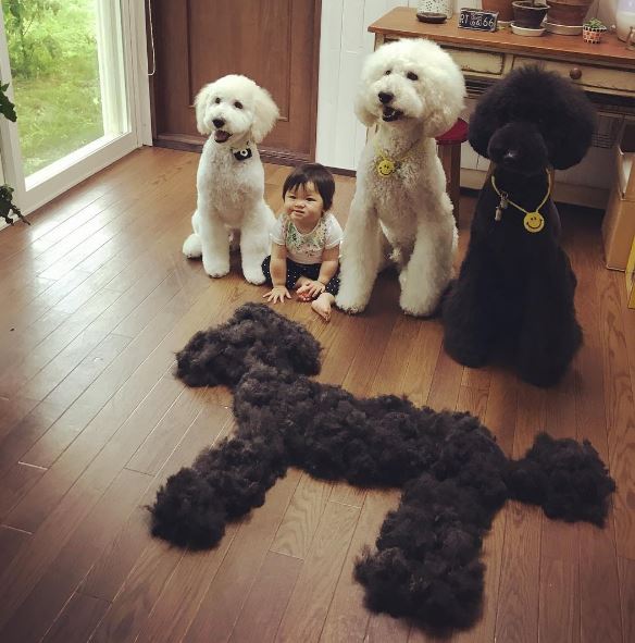 น่ารักน่าเอ็นดู