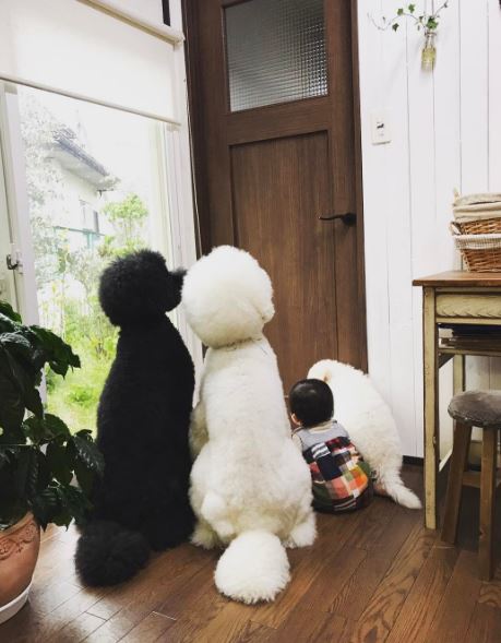 น่ารักน่าเอ็นดู