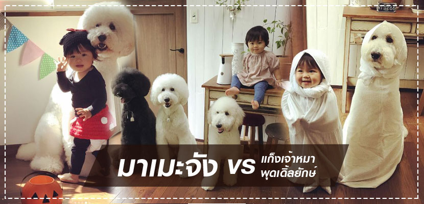 น่ารักน่าเอ็นดู