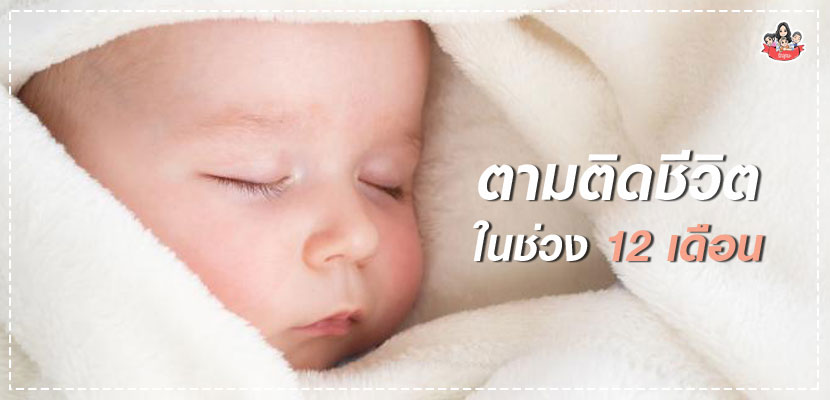 ตามติดชีวิต