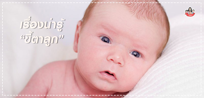 ขี้ตาลูกน้อย